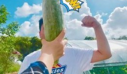 网红吃瓜被吊打,一场网络舆论的风暴