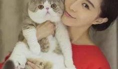 吃瓜少女猫娱乐,揭秘娱乐圈幕后故事